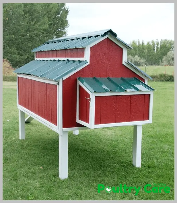 Amazing-Chicken-Coop-Plan-by-Home-Depot