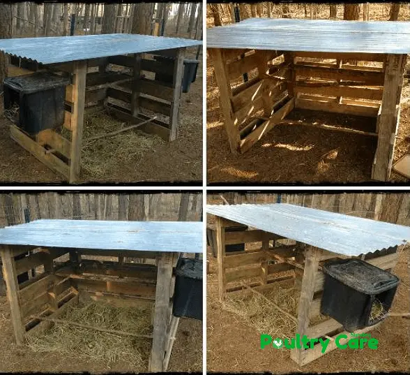 The Free and Easy Pallet Coop