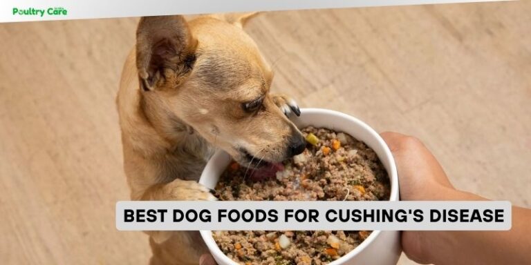 Low Protein Dog Food For Dogs With Cushing'S Disease preview