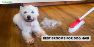 best brooms for dog hair