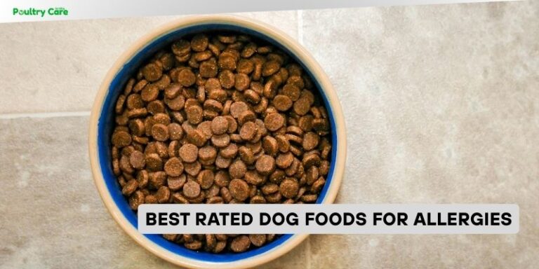 Curated visual reference: Food Allergies Linked Hyperactivity In Dogs Reference: Our 10 Best Rated Dog Foods For Allergies Of 2026