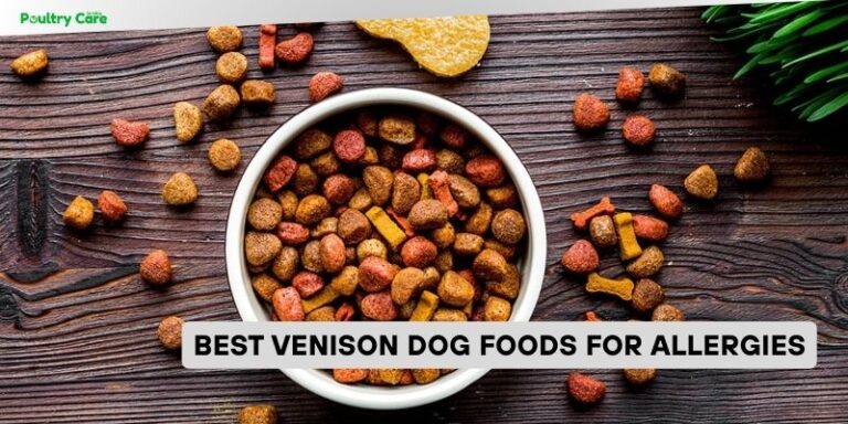 Photo inspiration: Fresh Look at Top 10 Best Venison Dog Foods For Allergies Of 2026