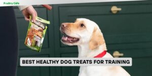 best healthy dog treats for training