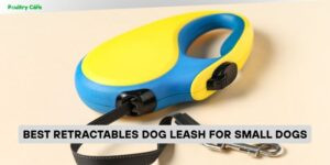 best retractables dog leash for small dogs