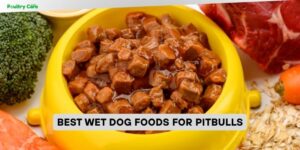 best wet dog foods for pitbulls