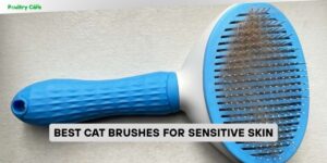 best cat brushes for sensitive skin