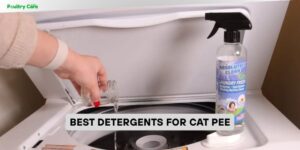 best detergents for cat pee