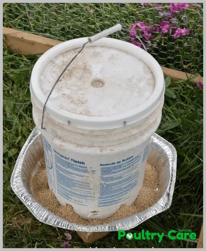 5-Gallon-Bucket-DIY-Chicken-Feeder-and-Waterer