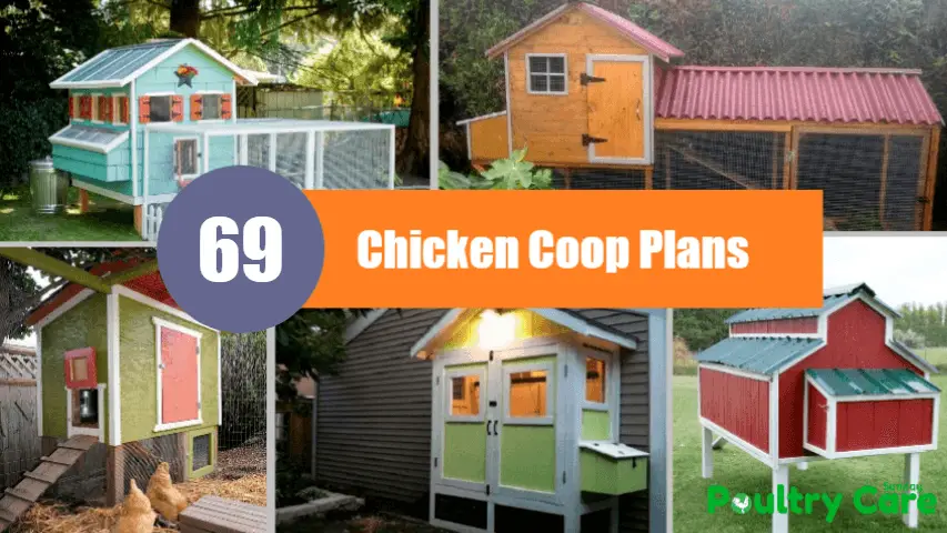 Chicken-Coop-Plan