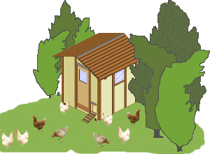Chicken-Coop-Project-at-BuildEazy