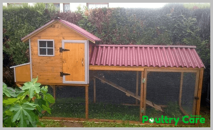 DIY-Chicken-Coop-From-Pallets