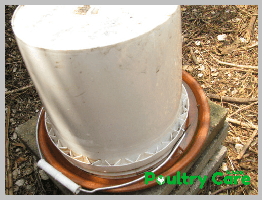 DIY-Chicken-Waterer-Homesteading