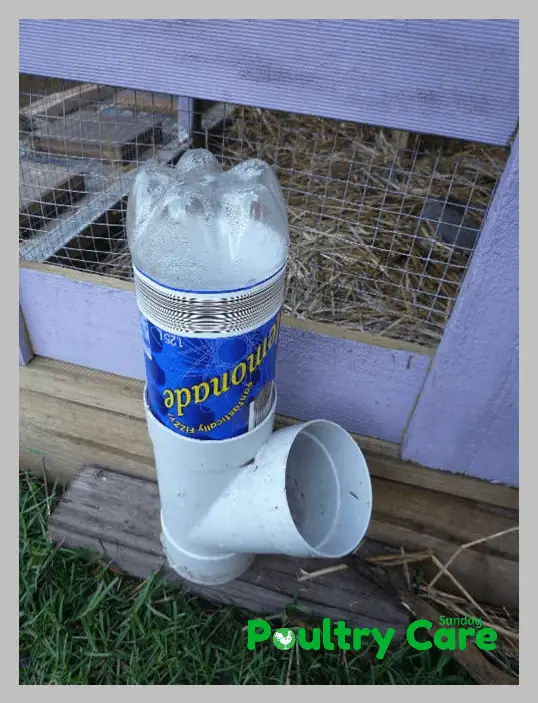 DIY-Soda-Bottle-and-PVC-Chicken-Waterer