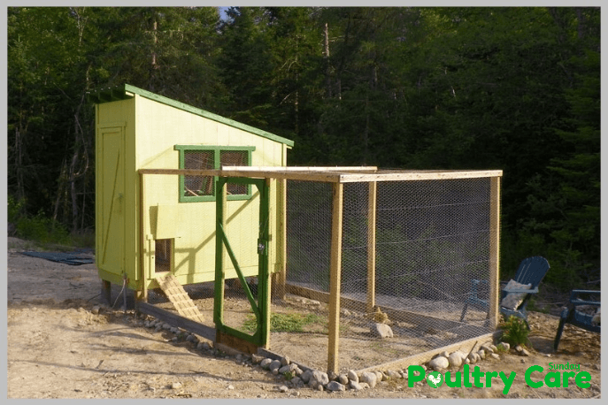 Downeast-Thunder-Farm-Chicken-Coop