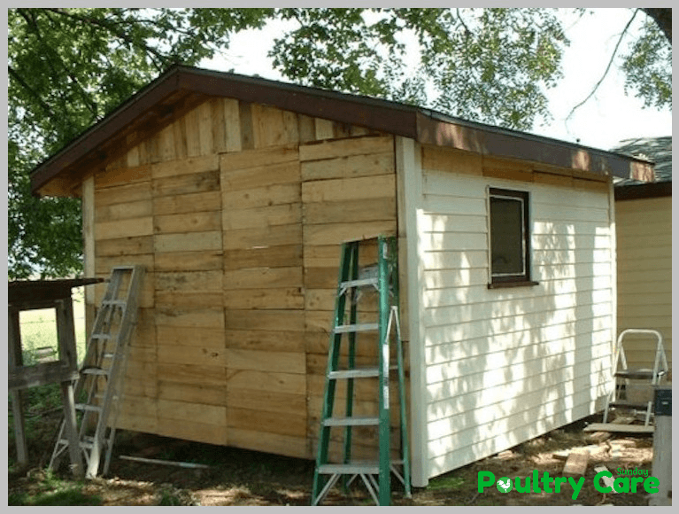 Free-Pallet-Chicken-Coop-by-Judy