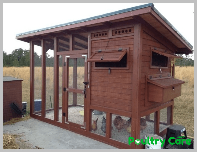 Palace-Chicken-Coop-Plan-by-Steamy-Kitchen