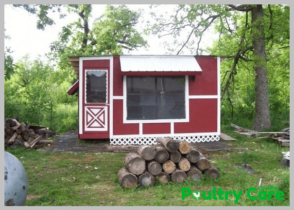 Pallet-Palace-DIY-Chicken-Coop