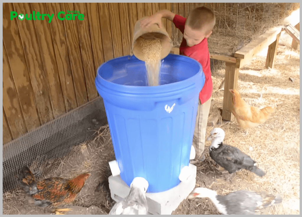 Trash-Can-to-Chicken-Feeder