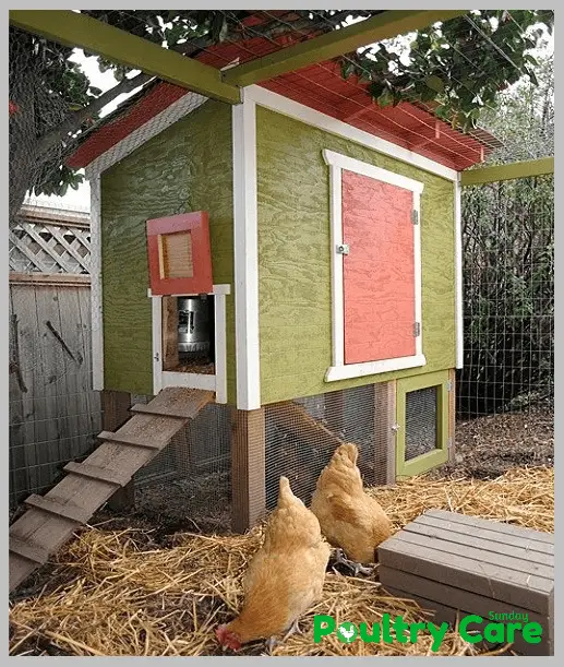 Urban-Chicken-Coop-Plan-by-The-Tangled-Nest