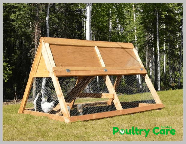  A-frame-Pallet-Chicken-Coop