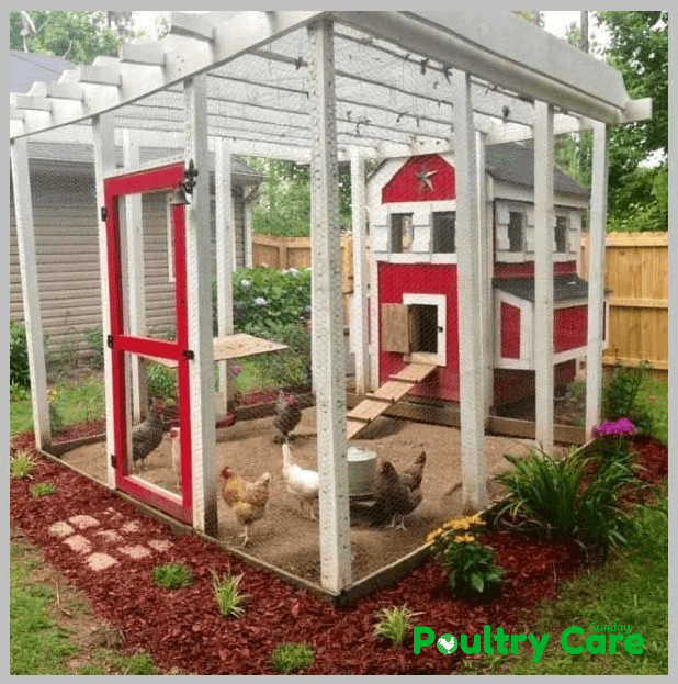 How to Build a Chicken Run Ultimate Guide Poultry Care Sunday