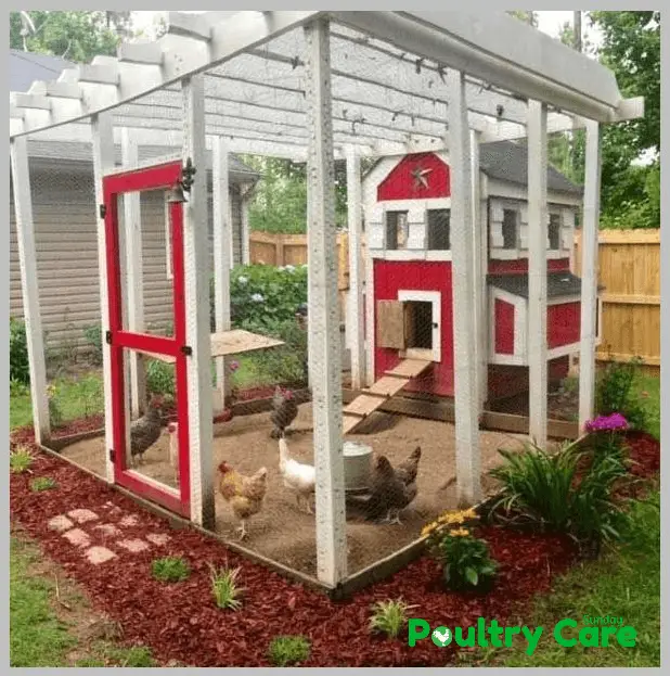 How To Build A Chicken Run Ultimate Guide Poultry Care Sunday