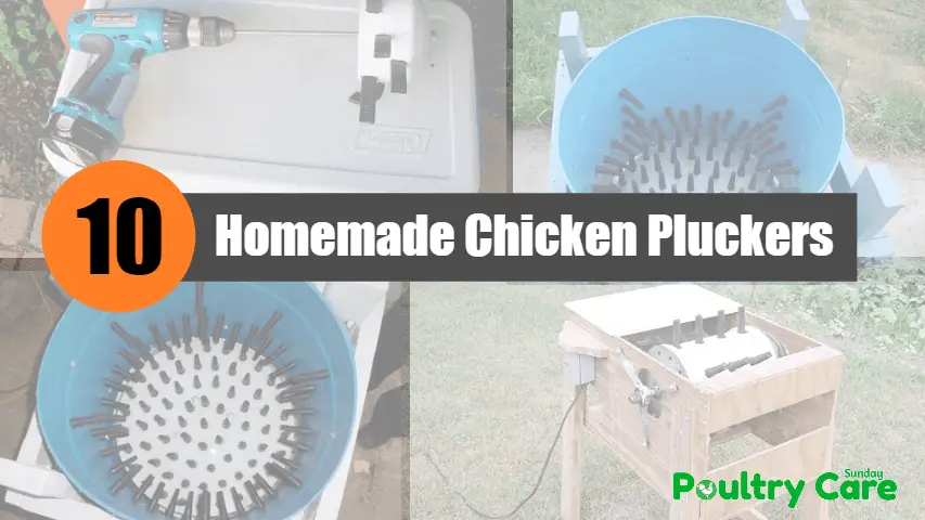 Homemade-Chicken-Pluckers