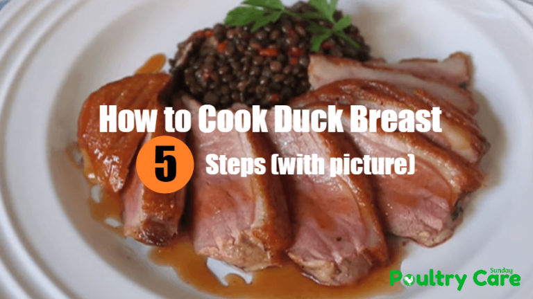 How to Cook Duck Breast Perfectly - 5 Steps (with picture) - Poultry