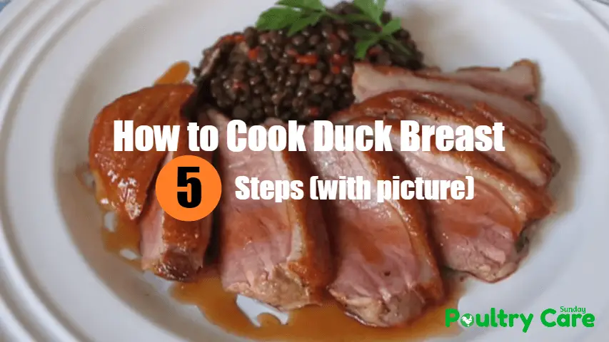 How-to-Cook-Duck-Breast