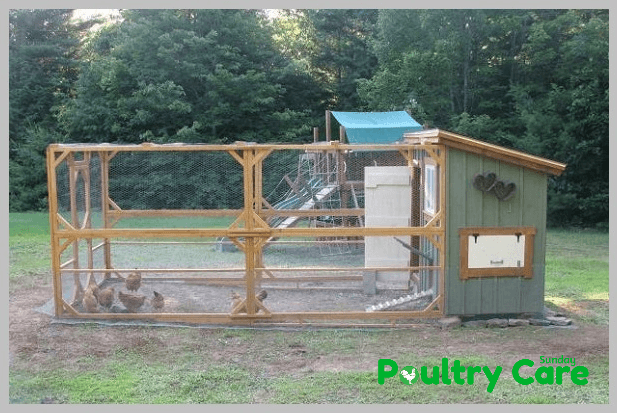 Recycled-Shed-Coop