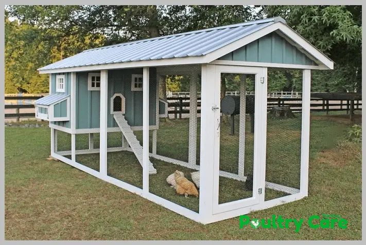 The-American-Style-Chicken-Coop