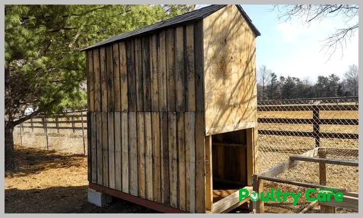 The-Shed-Chicken-Coop