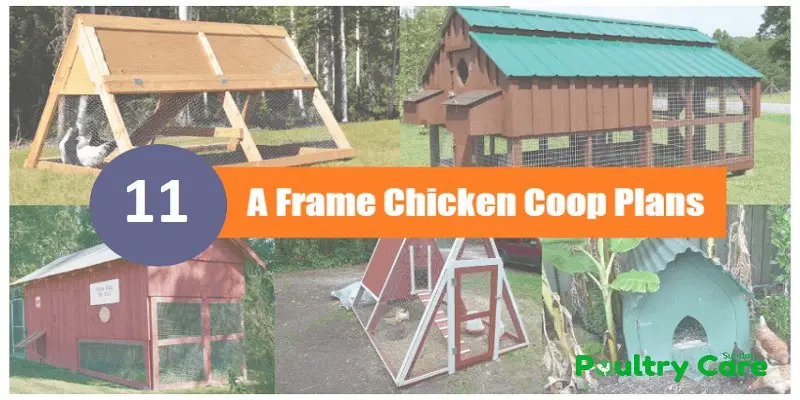11 A Frame Chicken Coop Plans And Ideas