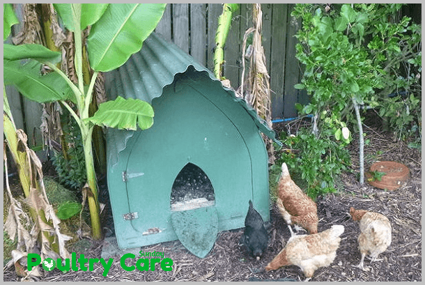 Gothic_Chicken_Coop