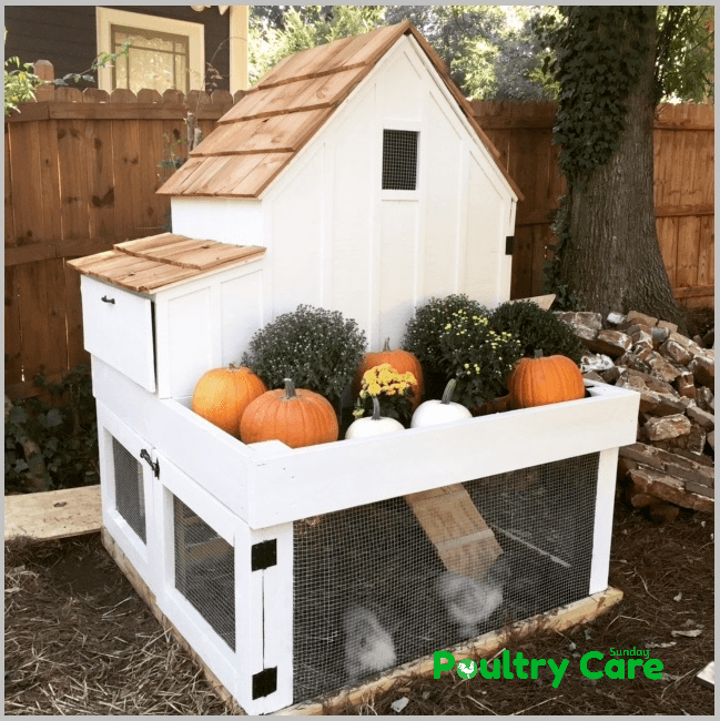 Ana White Small Chicken Coop