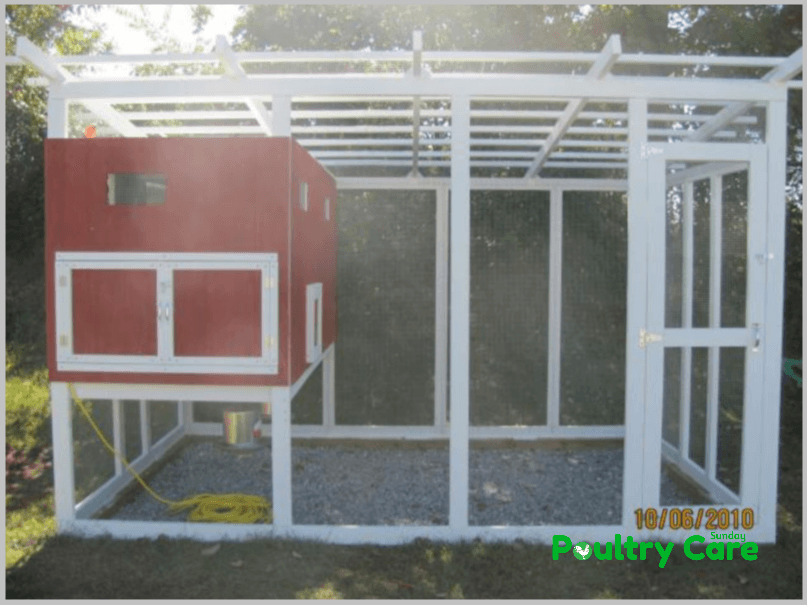 Large Chicken Coop Design