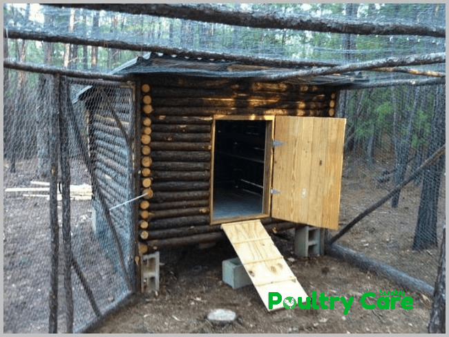 Romadfoxs Chicken Coop