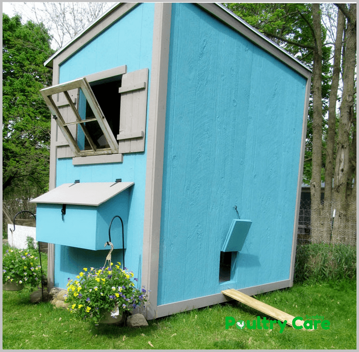 Shed Chicken Coop