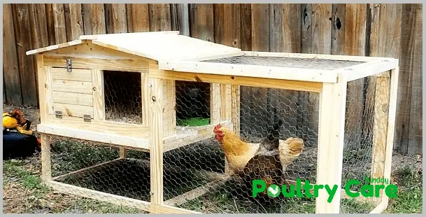 Small Backyard DIY Chicken Coop