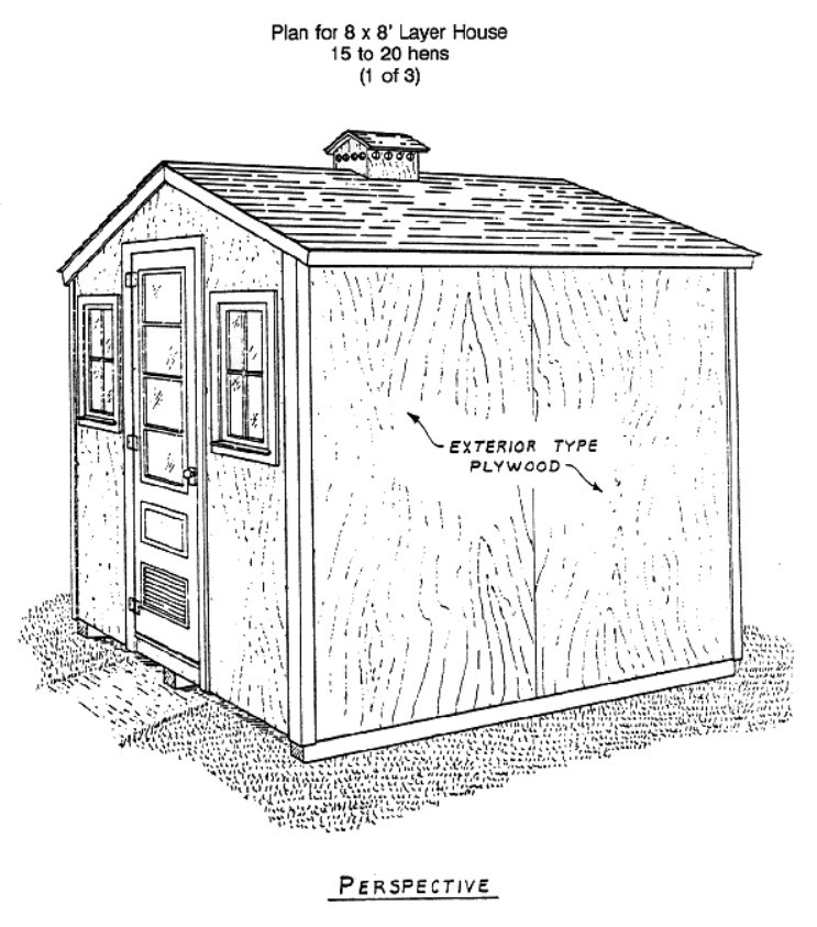 Small Chicken House