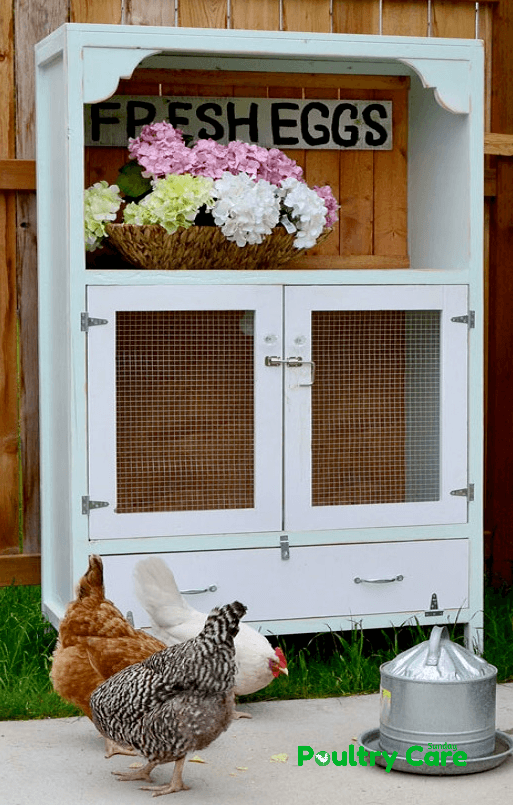 Chick Brooding Cabinet