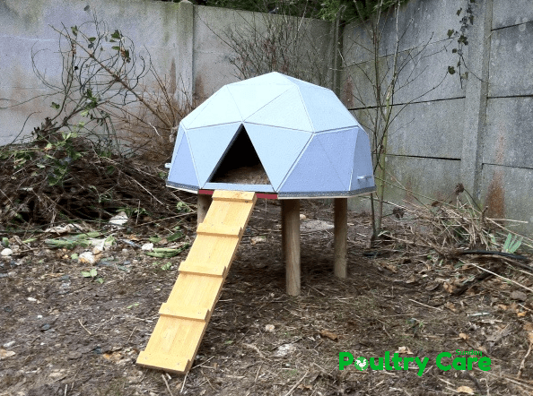 Geodesic Dome Chicken House