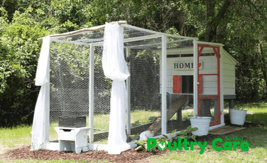 Pretty And Functional Chicken Coop