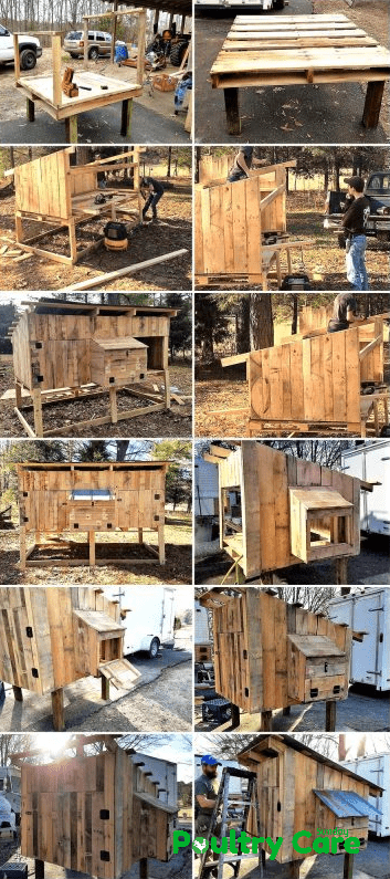 Raised Wooden Pallet Coop