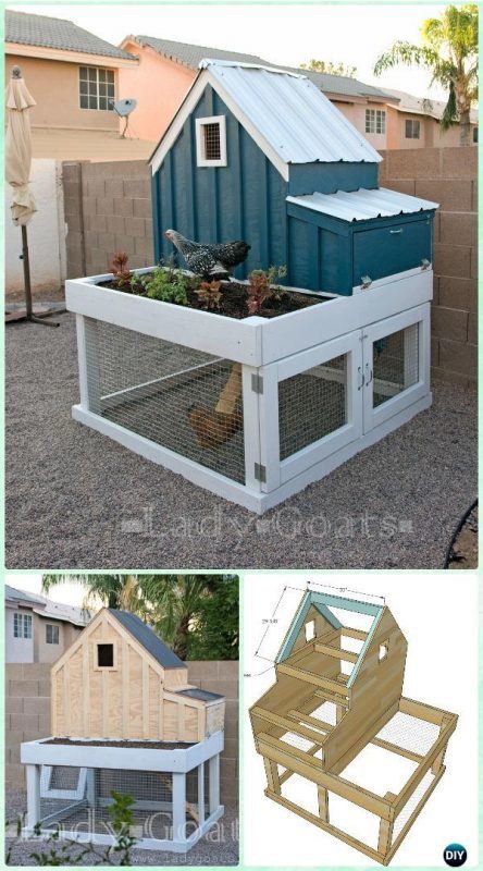 Saltbox Chicken Coop