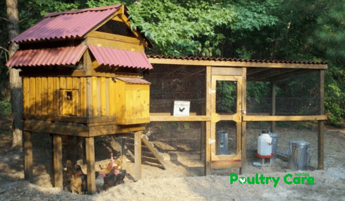 Steadfasts Chicken Coop