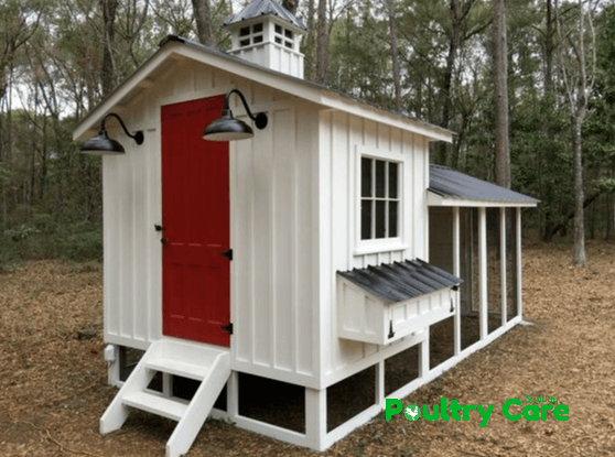 The Palace Redone Chicken Coop