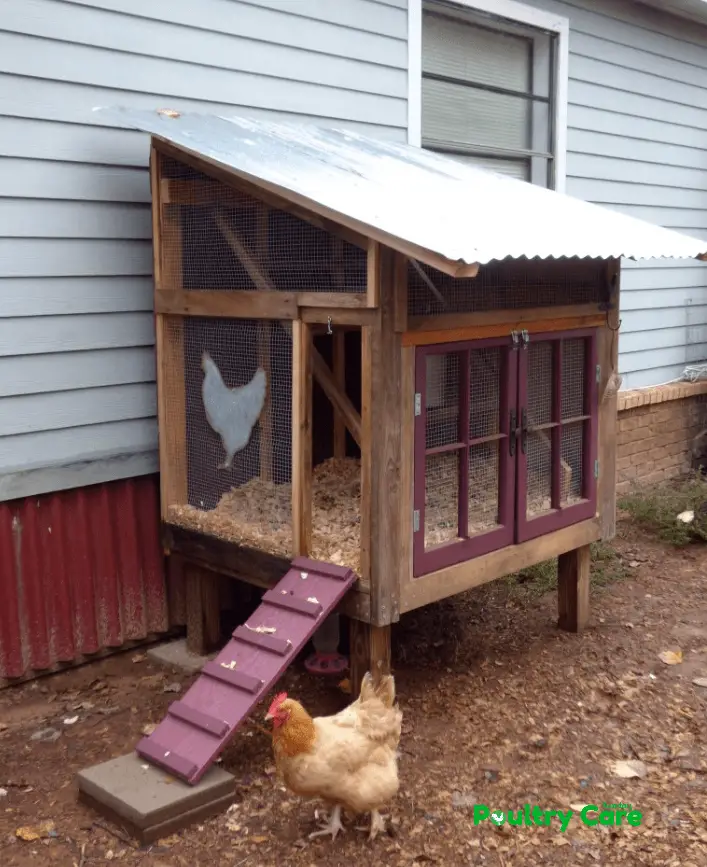 The Rustic Whimsical Coop