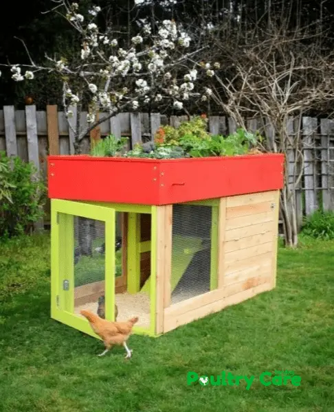 The Small Modern Coop