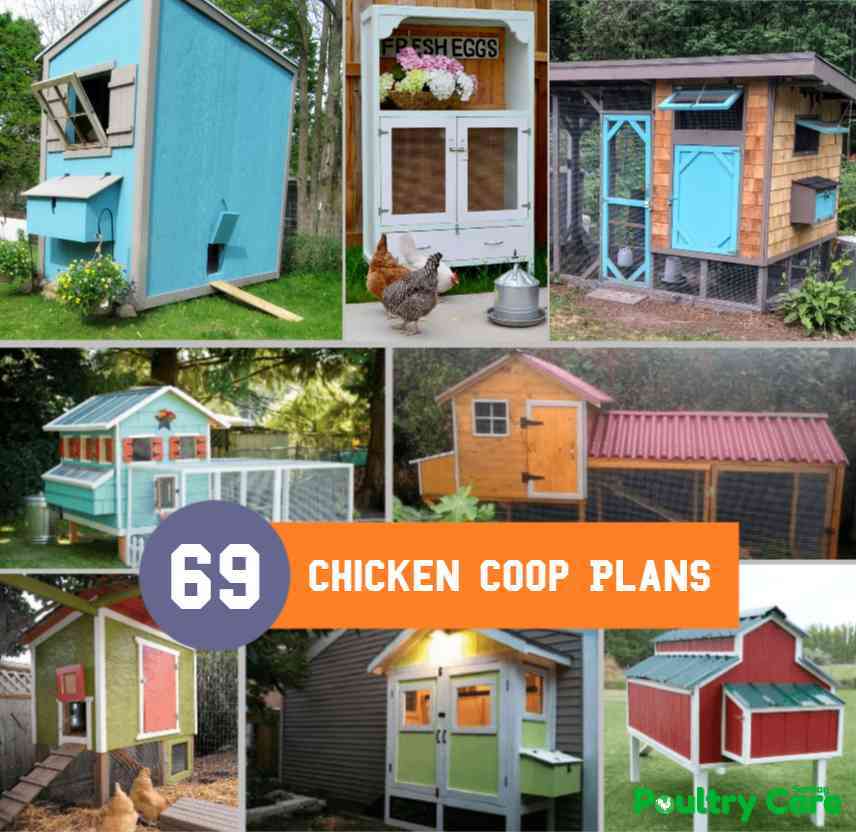 Chicken Coop Plans